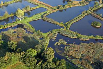 BUITEN BEELD Foto: 146399