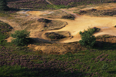 BUITEN BEELD Foto: 146402