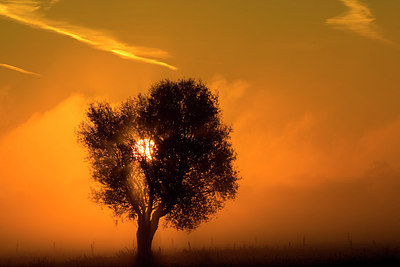 BUITEN BEELD Foto: 146403