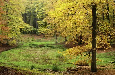 BUITEN BEELD Foto: 146439