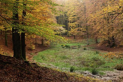 BUITEN BEELD Foto: 146446