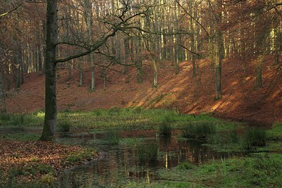 BUITEN BEELD Foto: 146454