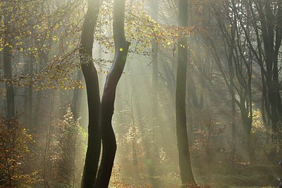 BUITEN BEELD Foto: 146458