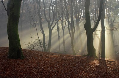 BUITEN BEELD Foto: 146470