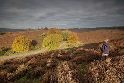 BUITEN BEELD Foto: 146488