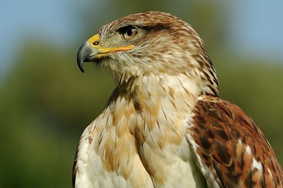 BUITEN BEELD Foto: 146581