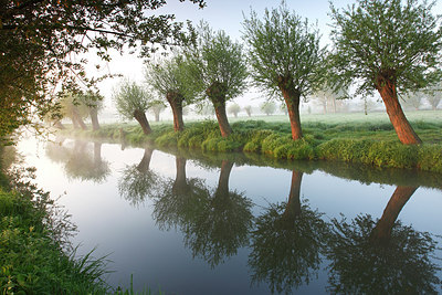BUITEN BEELD Foto: 146643