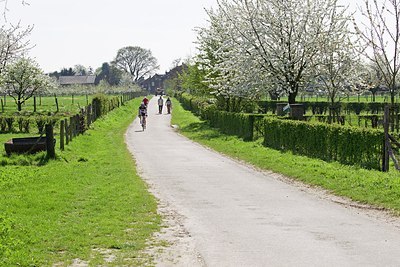 BUITEN BEELD Foto: 146653