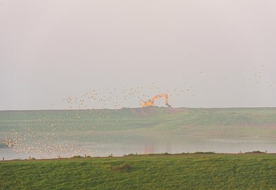 BUITEN BEELD Foto: 146668