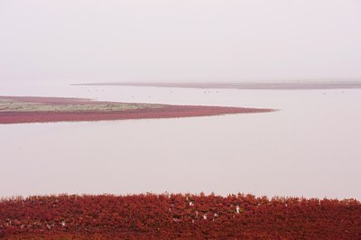 BUITEN BEELD Foto: 146673