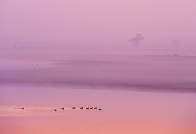 BUITEN BEELD Foto: 146678