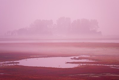 BUITEN BEELD Foto: 146681