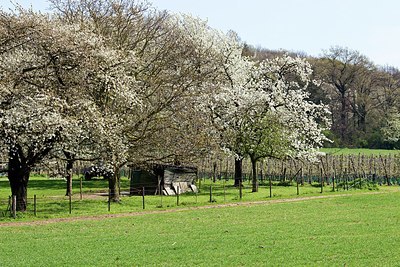 BUITEN BEELD Foto: 146688