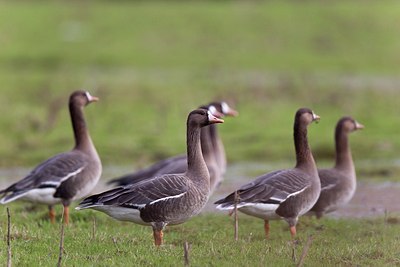 BUITEN BEELD Foto: 146708