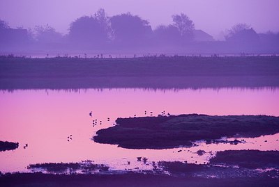 BUITEN BEELD Foto: 146722