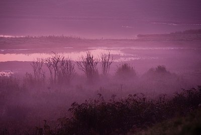 BUITEN BEELD Foto: 146728