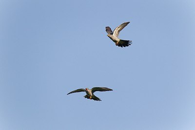 BUITEN BEELD Foto: 146734