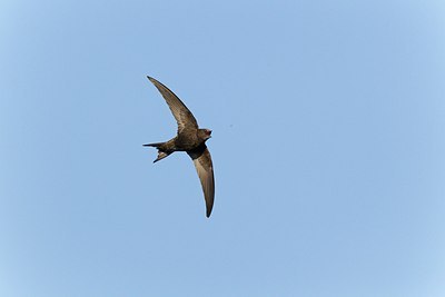 BUITEN BEELD Foto: 146762