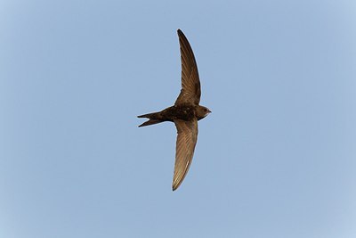 BUITEN BEELD Foto: 146763