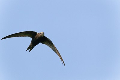 BUITEN BEELD Foto: 146764
