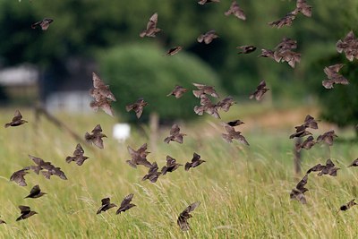 BUITEN BEELD Foto: 146789