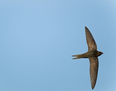 BUITEN BEELD Foto: 146791