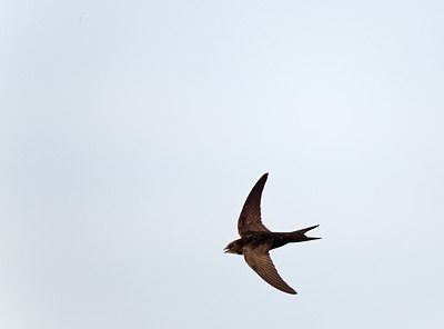 BUITEN BEELD Foto: 146801