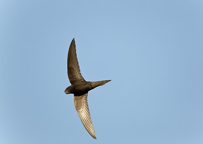 BUITEN BEELD Foto: 146805