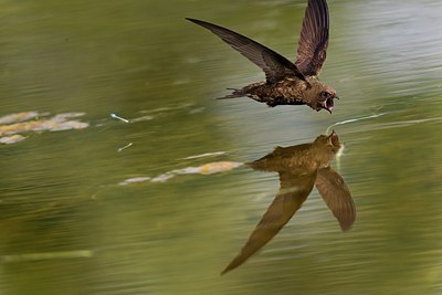 BUITEN BEELD Foto: 146807