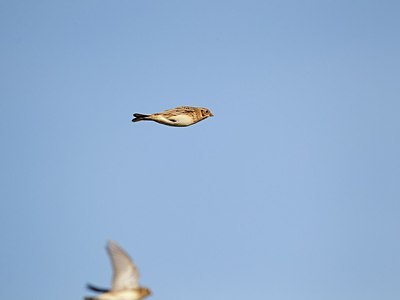 BUITEN BEELD Foto: 146825