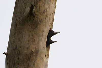 BUITEN BEELD Foto: 146839