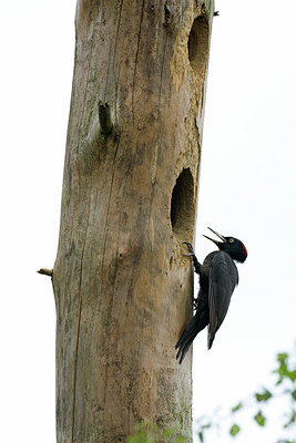 BUITEN BEELD Foto: 146853