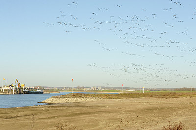 BUITEN BEELD Foto: 146865