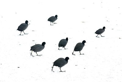 BUITEN BEELD Foto: 146876