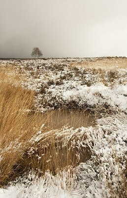 BUITEN BEELD Foto: 146895