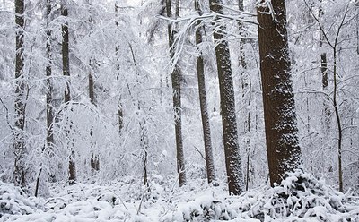BUITEN BEELD Foto: 146904