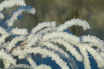 BUITEN BEELD Foto: 146920