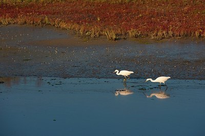 BUITEN BEELD Foto: 147136