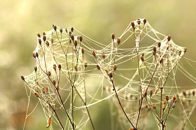 BUITEN BEELD Foto: 147187