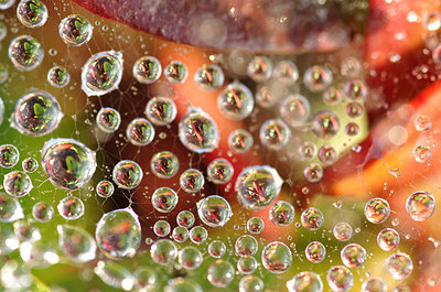 BUITEN BEELD Foto: 147190