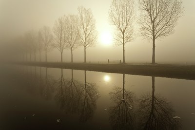 BUITEN BEELD Foto: 147232