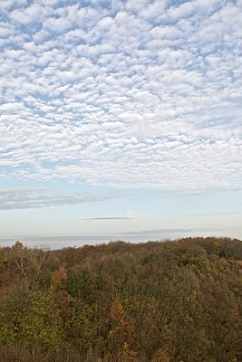 BUITEN BEELD Foto: 147309