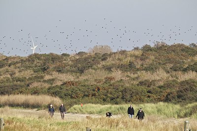 BUITEN BEELD Foto: 147317