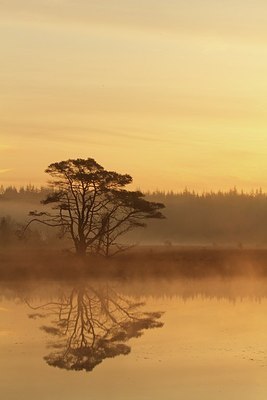 BUITEN BEELD Foto: 147359