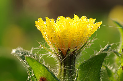 BUITEN BEELD Foto: 147392