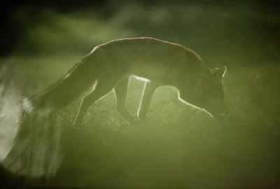 BUITEN BEELD Foto: 147409