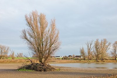 BUITEN BEELD Foto: 147456