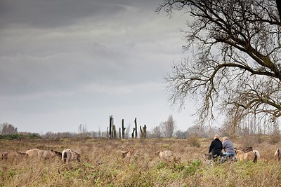 BUITEN BEELD Foto: 147460