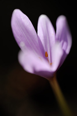 BUITEN BEELD Foto: 147476