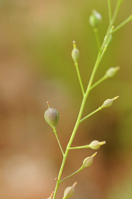 BUITEN BEELD Foto: 147489